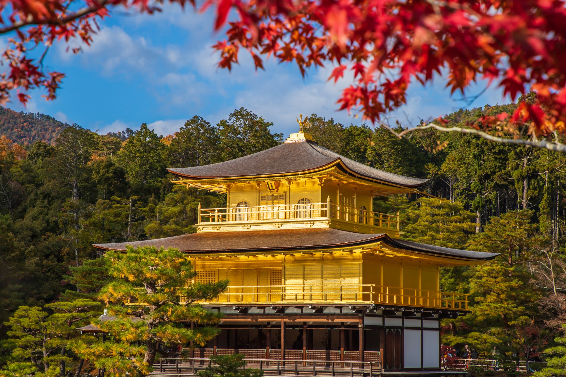 秋の旅　予約受付中