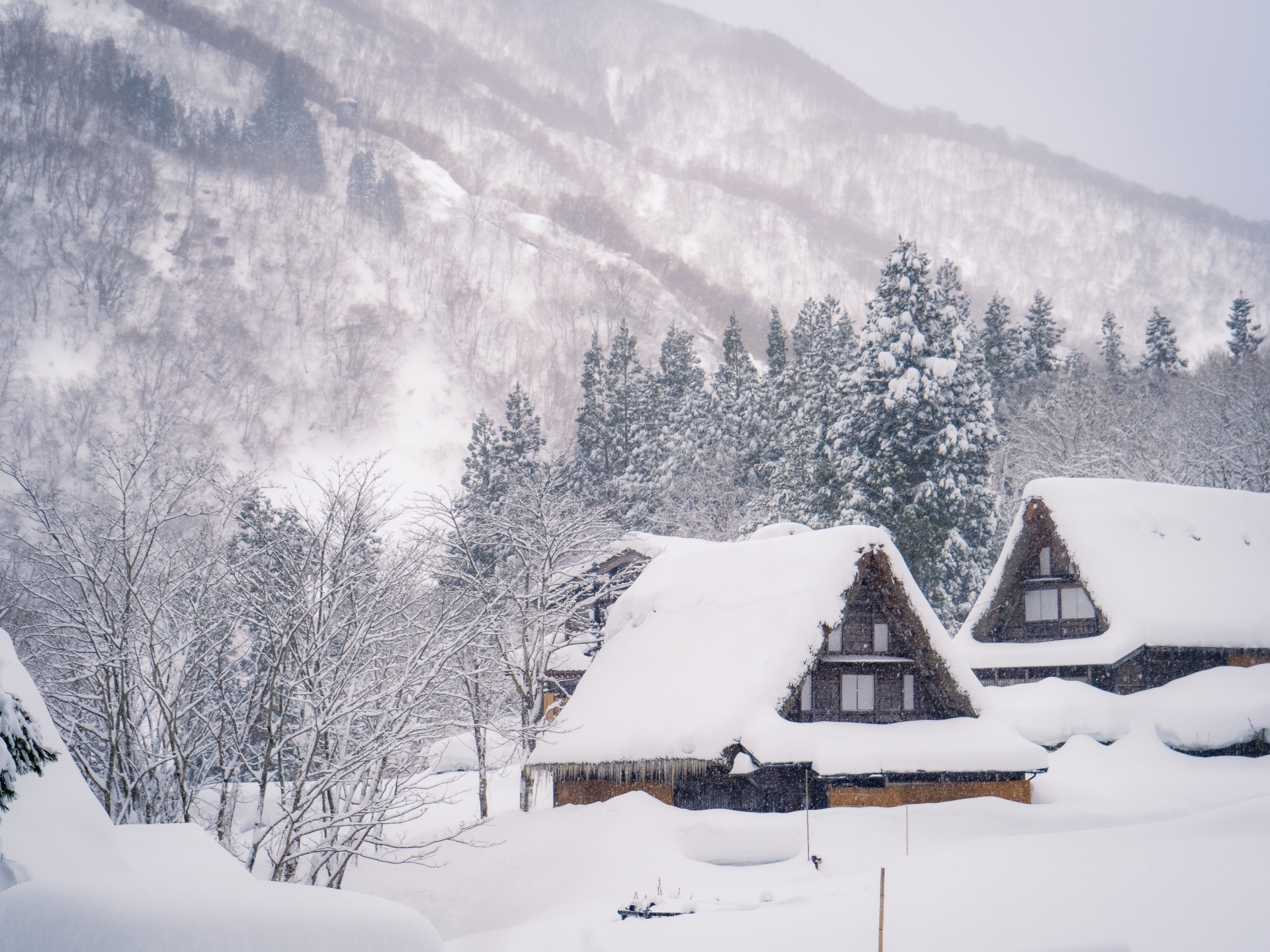 雪の白川郷